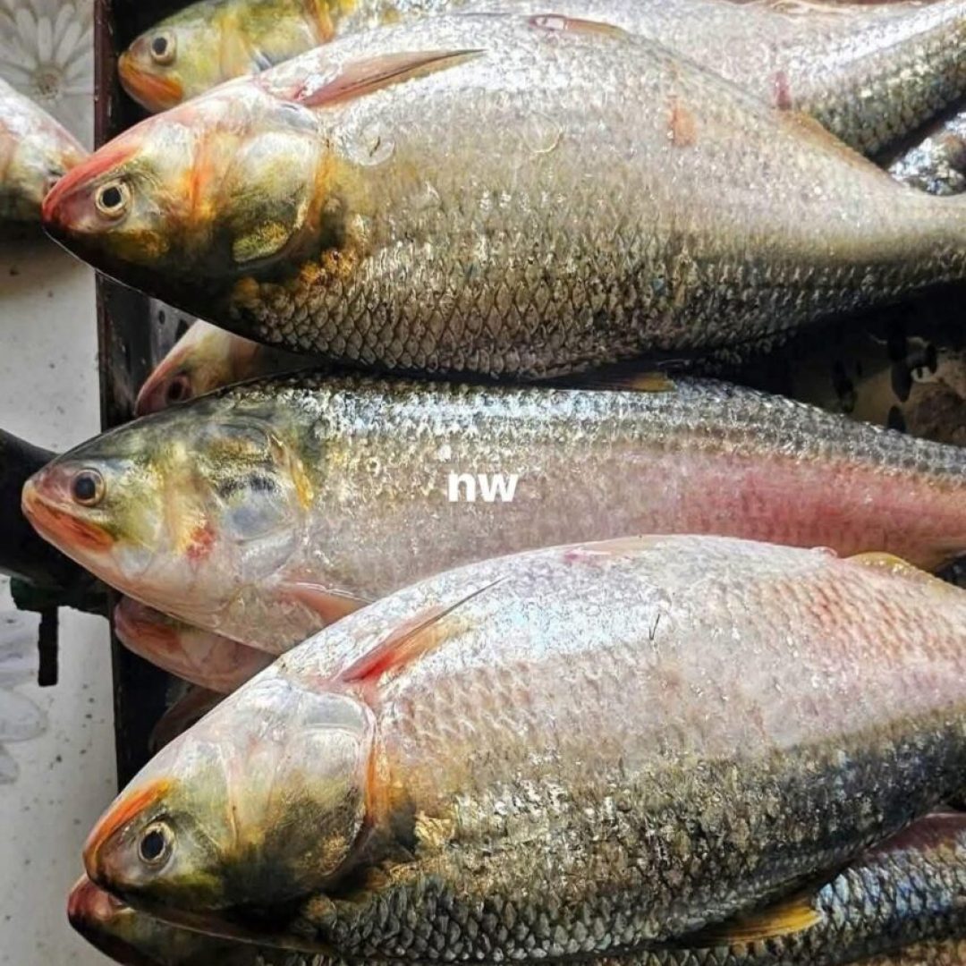 10-857x1024-1.jpeg